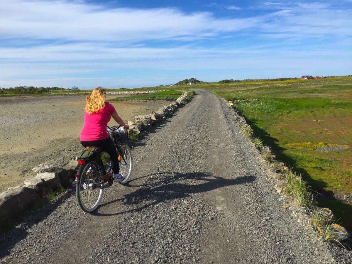 Elstad Farm Lofoten Bostad エクステリア 写真